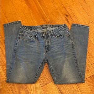 American Eagle Outfitters Blue Skinny Jeans